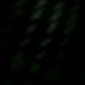 Meet your Posher, Tony